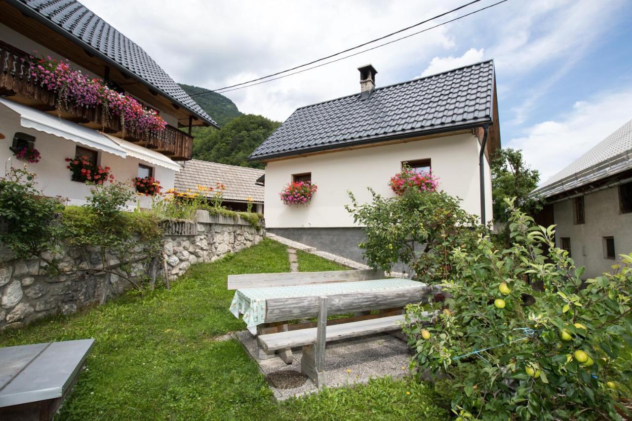 Apartments Kocjanc Bohinj Exterior photo
